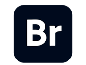 Adobe Bridge 2025 For Mac v15.1.1 功能强大的创意资产管理工具